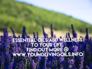 Essential Oils Add Wellness to Your Life