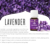 Lavender, Young Living Essential Oils