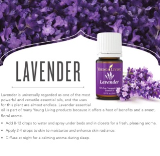 Lavender, Young Living Essential Oils